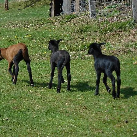 Apartament Ferienbauernhof Familie Stratmann
