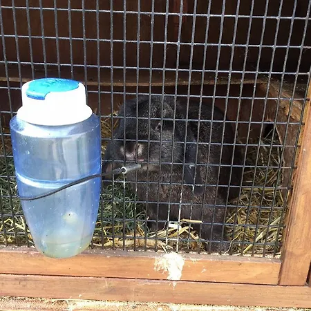 Ferienbauernhof Familie Stratmann * Eslohe