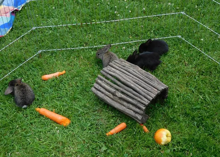 Ferienbauernhof Familie Stratmann Eslohe