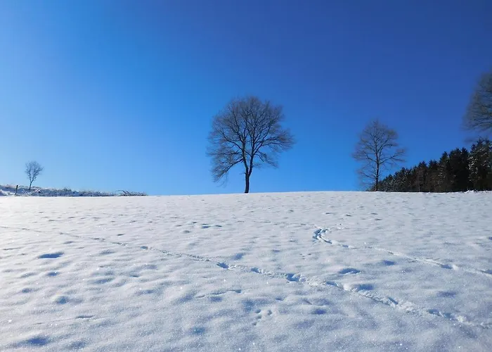 Apartamento Ferienbauernhof Familie Stratmann