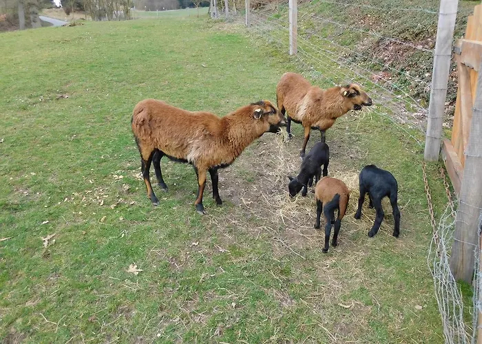 Apartmán Ferienbauernhof Familie Stratmann Eslohe