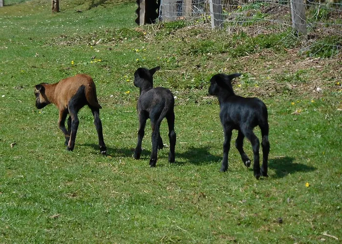 Apartman Ferienbauernhof Familie Stratmann
