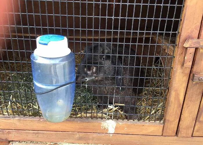 Ferienbauernhof Familie Stratmann * 埃斯洛黑