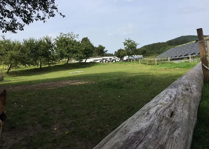 Ferienbauernhof Familie Stratmann Apartamento Eslohe